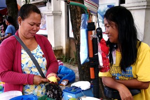 A vendor sells green mango in her food cart during the town fiesta celebration when the city government closed an entire street and turned it into a big bazaar area.